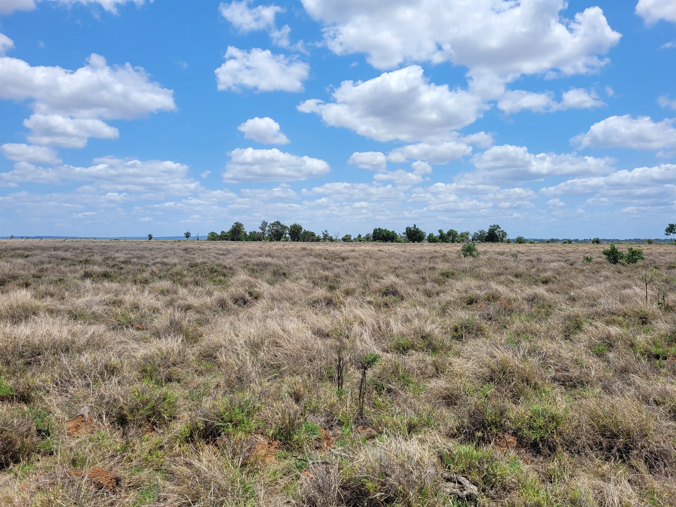 The Comet Energy Park site near Blackwater, Central Queensland