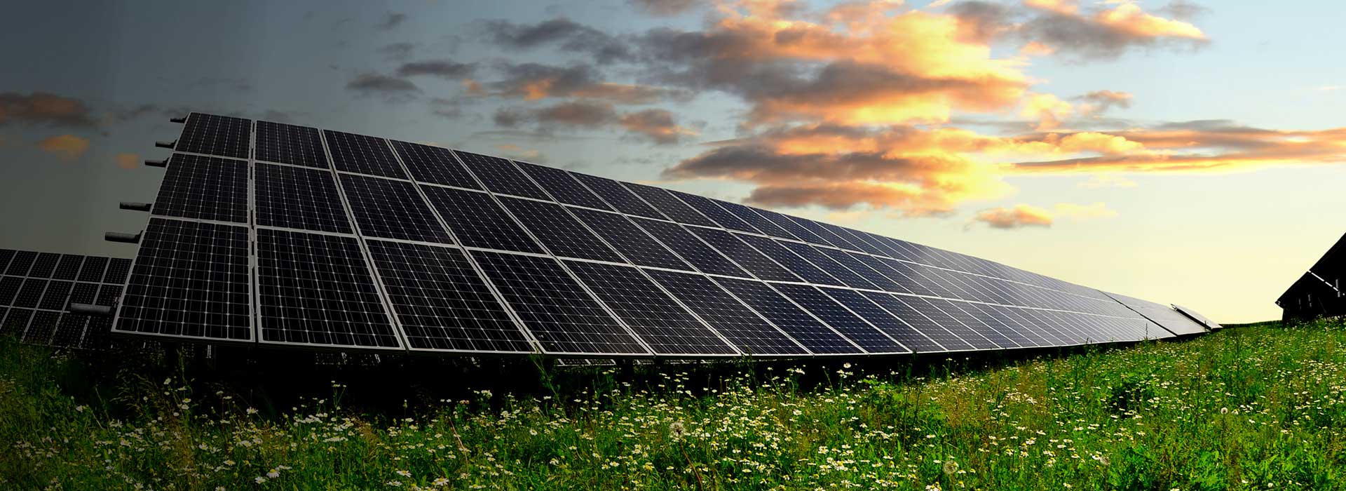 A solar farm at sunset, panels set in a wildflower meadow